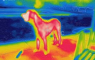 thermal imaging camera