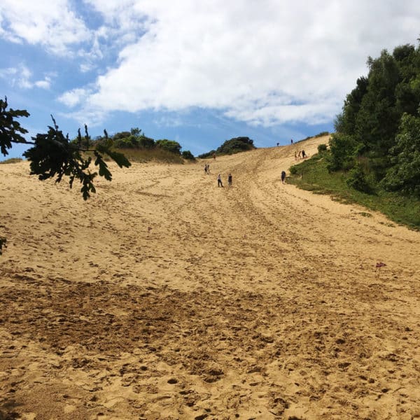 BBC One Show Sand Marble Rally Footage