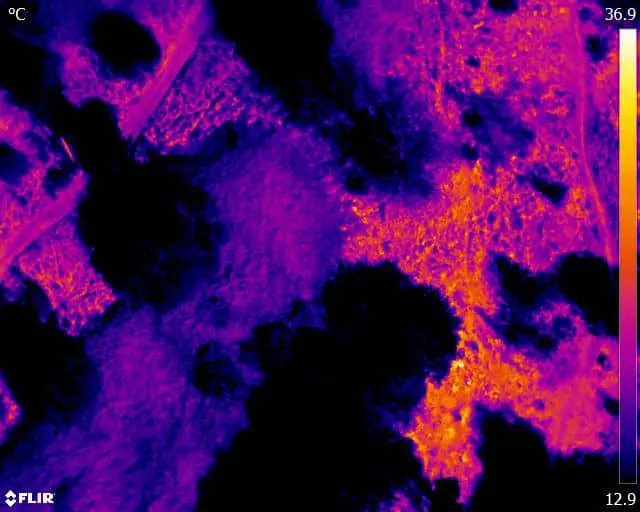 Thermal Infrared Landfill Inspection