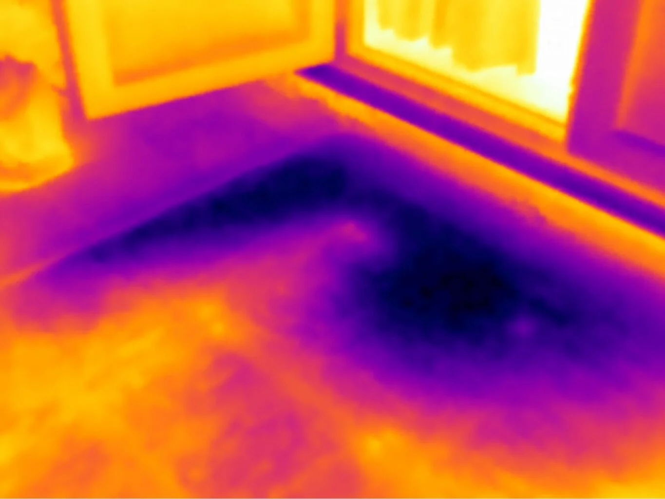 Thermal image of water ingress